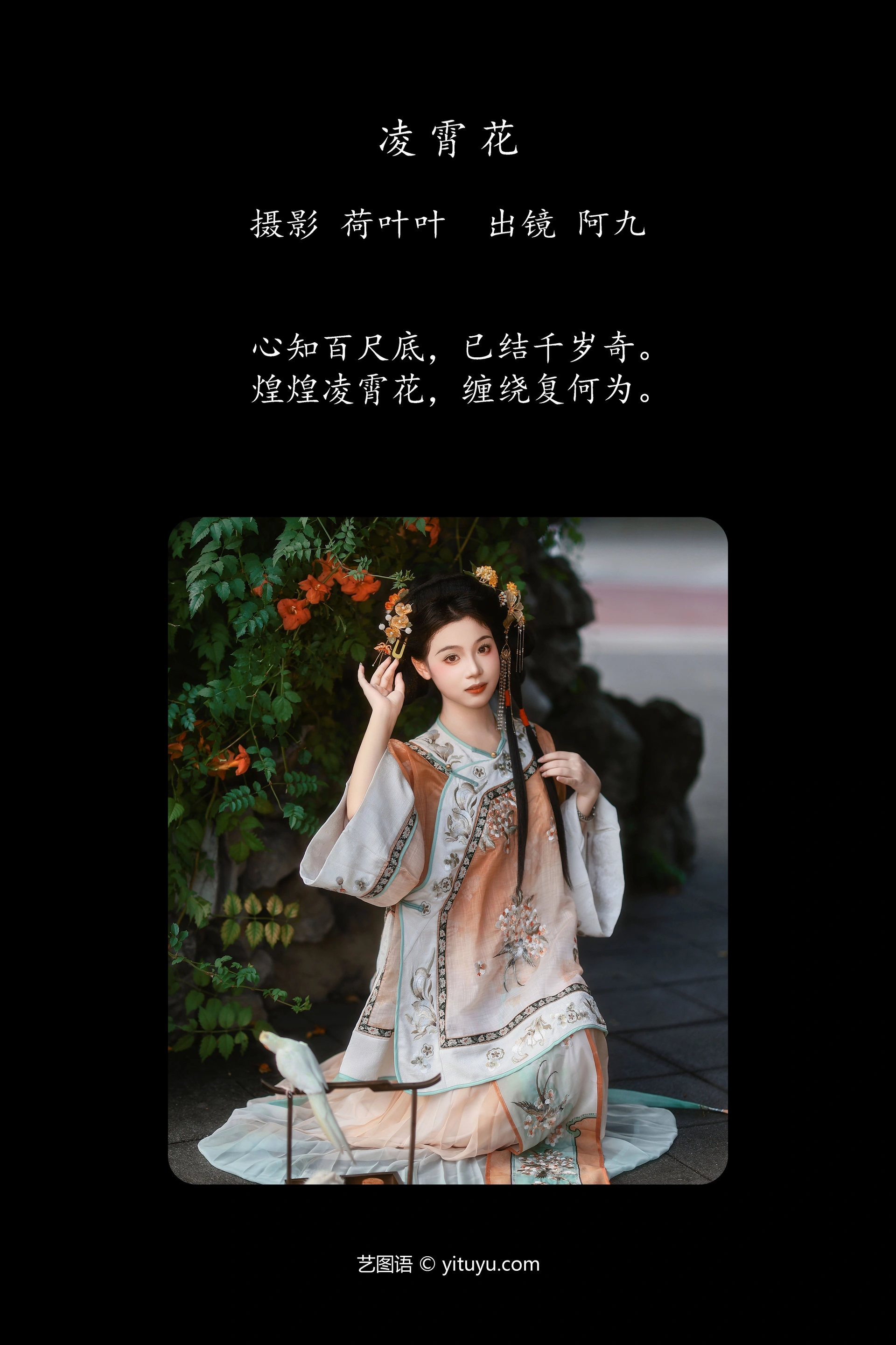 [YITUYU艺图语]2024.12.12 凌霄花 铁臂阿桐木 0